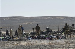 Ai Cập bác tin bắt 2 nghi can đánh bom máy bay Nga